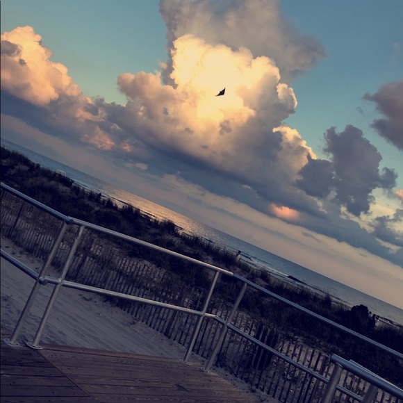 Meet your Posher, Mackenzie - Picture 1 of 1